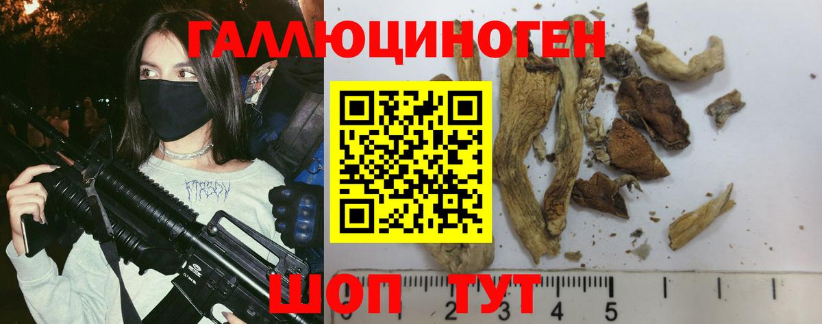 Галлюциногенные грибы GOLDEN TEACHER Югорск